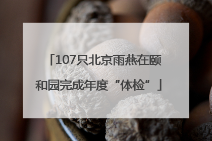107只北京雨燕在颐和园完成年度“体检”