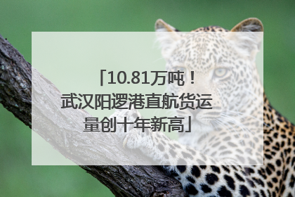 10.81万吨！武汉阳逻港直航货运量创十年新高