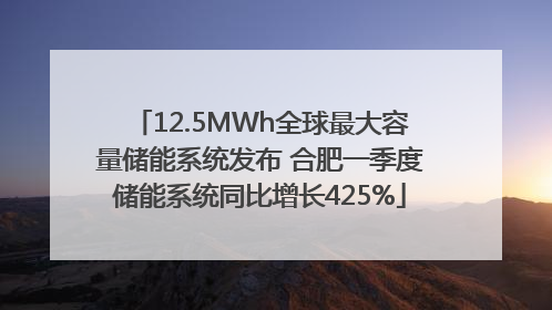 12.5MWh全球最大容量储能系统发布 合肥一季度储能系统同比增长425%