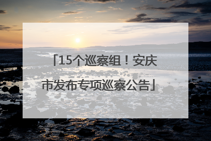15个巡察组！安庆市发布专项巡察公告