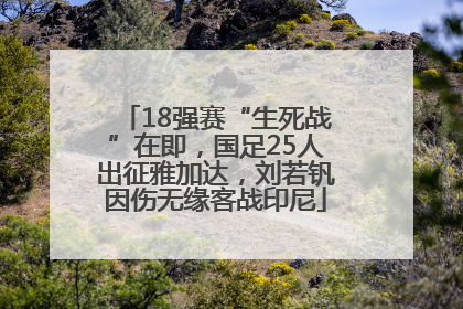 18强赛“生死战”在即，国足25人出征雅加达，刘若钒因伤无缘客战印尼