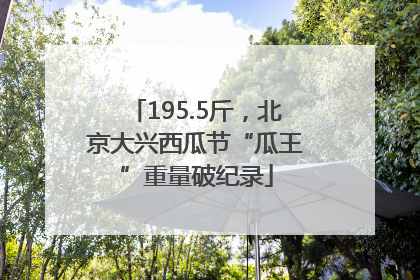 195.5斤，北京大兴西瓜节“瓜王”重量破纪录