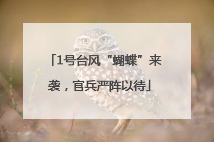 1号台风“蝴蝶”来袭，官兵严阵以待