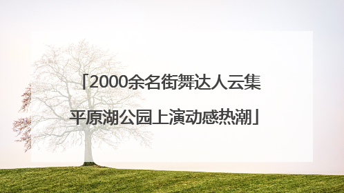 2000余名街舞达人云集 平原湖公园上演动感热潮