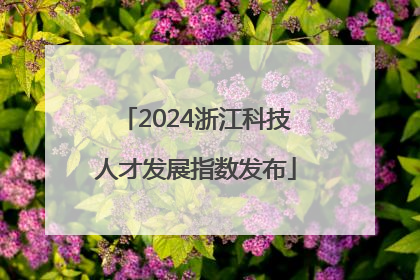 2024浙江科技人才发展指数发布