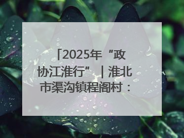 2025年“政协江淮行”｜淮北市渠沟镇程阁村：“生态痛点”变“生态景观”