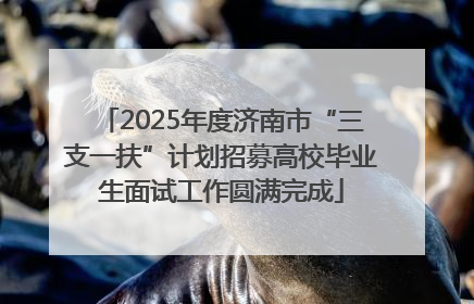 2025年度济南市“三支一扶”计划招募高校毕业生面试工作圆满完成