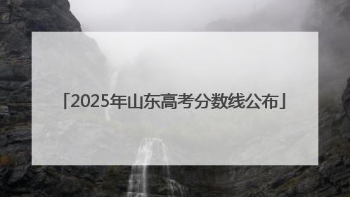 2025年山东高考分数线公布