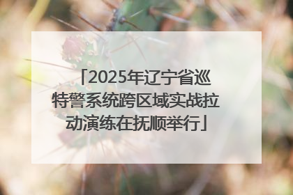 2025年辽宁省巡特警系统跨区域实战拉动演练在抚顺举行