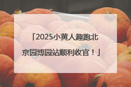2025小黄人趣跑北京园博园站顺利收官！