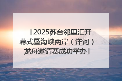 2025苏台邻里汇开幕式暨海峡两岸（洋河）龙舟邀请赛成功举办