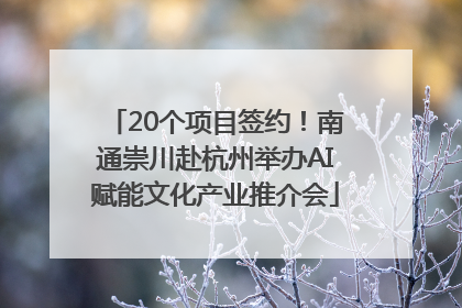 20个项目签约！南通崇川赴杭州举办AI赋能文化产业推介会