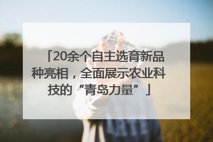 20余个自主选育新品种亮相，全面展示农业科技的“青岛力量”