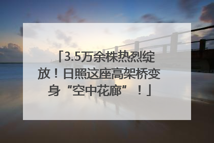 3.5万余株热烈绽放！日照这座高架桥变身“空中花廊”！