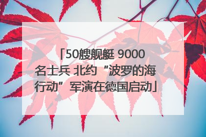 50艘舰艇 9000名士兵 北约“波罗的海行动”军演在德国启动
