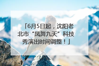 6月5日起，沈阳老北市“凤舞九天”科技秀演出时间调整！