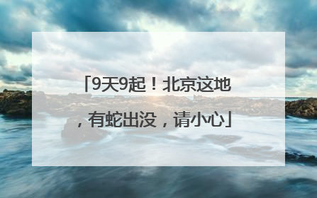 9天9起！北京这地，有蛇出没，请小心