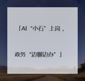 AI“小石”上岗，政务“边聊边办”