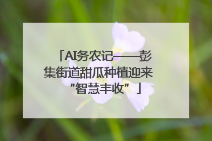 AI务农记——彭集街道甜瓜种植迎来“智慧丰收”