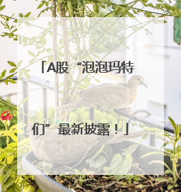 A股“泡泡玛特们”最新披露！