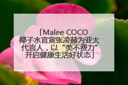 Malee COCO椰子水官宣张凌赫为亚太代言人，以“美不费力”开启健康生活好状态