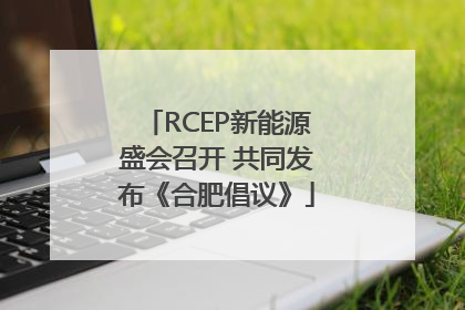 RCEP新能源盛会召开 共同发布《合肥倡议》